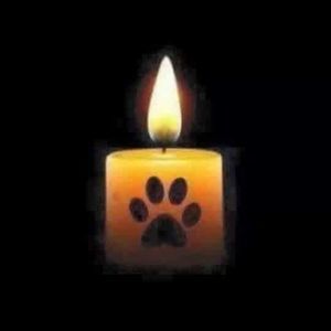 Meet your Posher, Todd